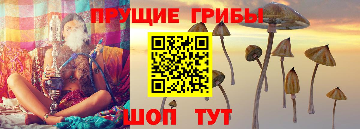 Псилоцибиновые грибы мицелий  Галлюциногенные грибы прущие грибы  Вход с VPN  Киров 